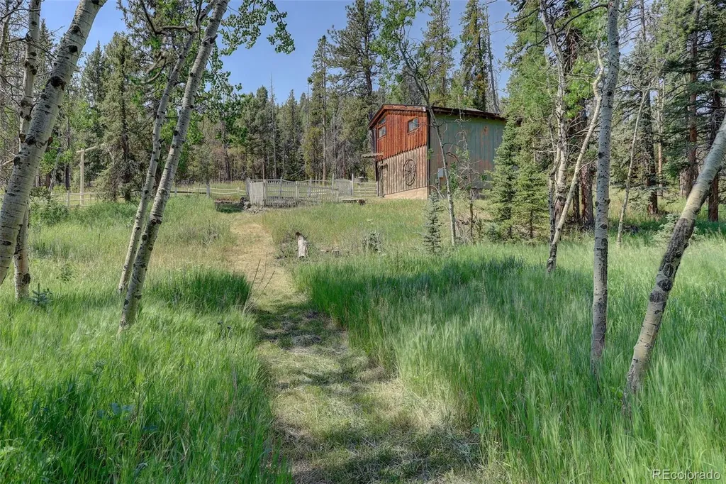 28942 Shadow Mountain Drive Conifer CO 80433