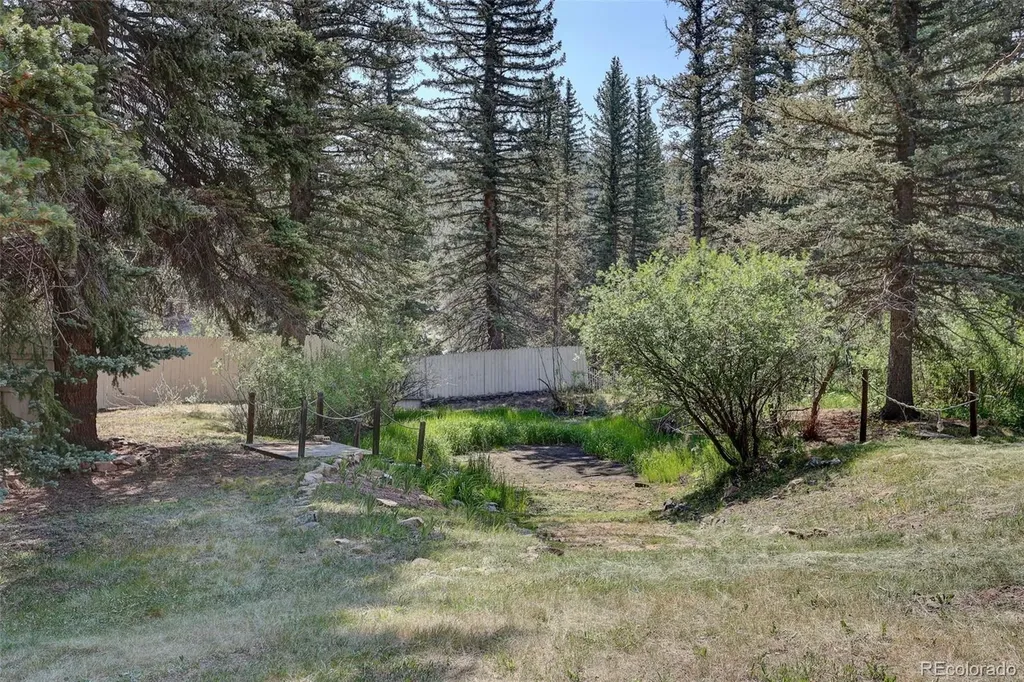 28942 Shadow Mountain Drive Conifer CO 80433