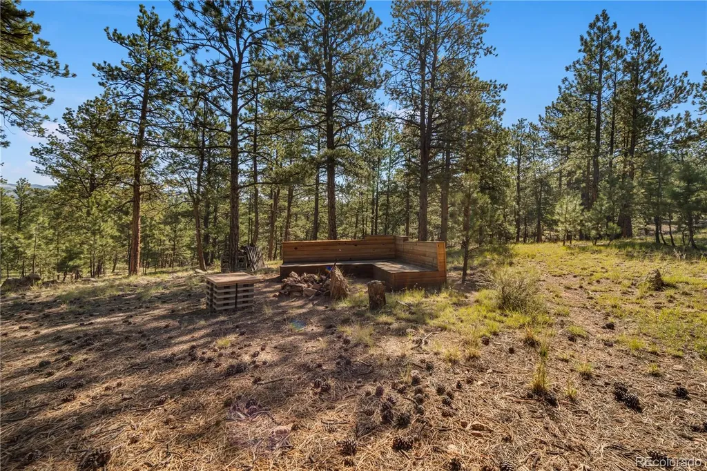 111 Sioux Trail Westcliffe CO 81252