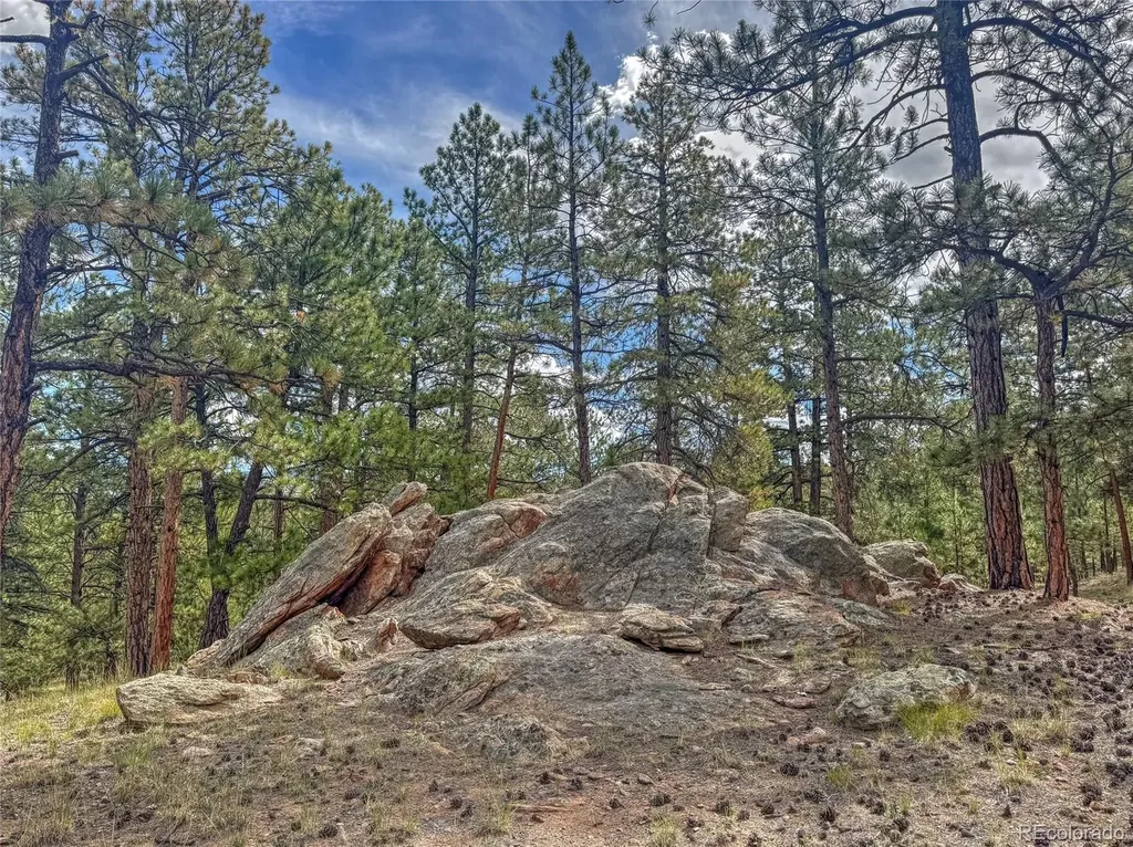 111 Sioux Trail Westcliffe CO 81252