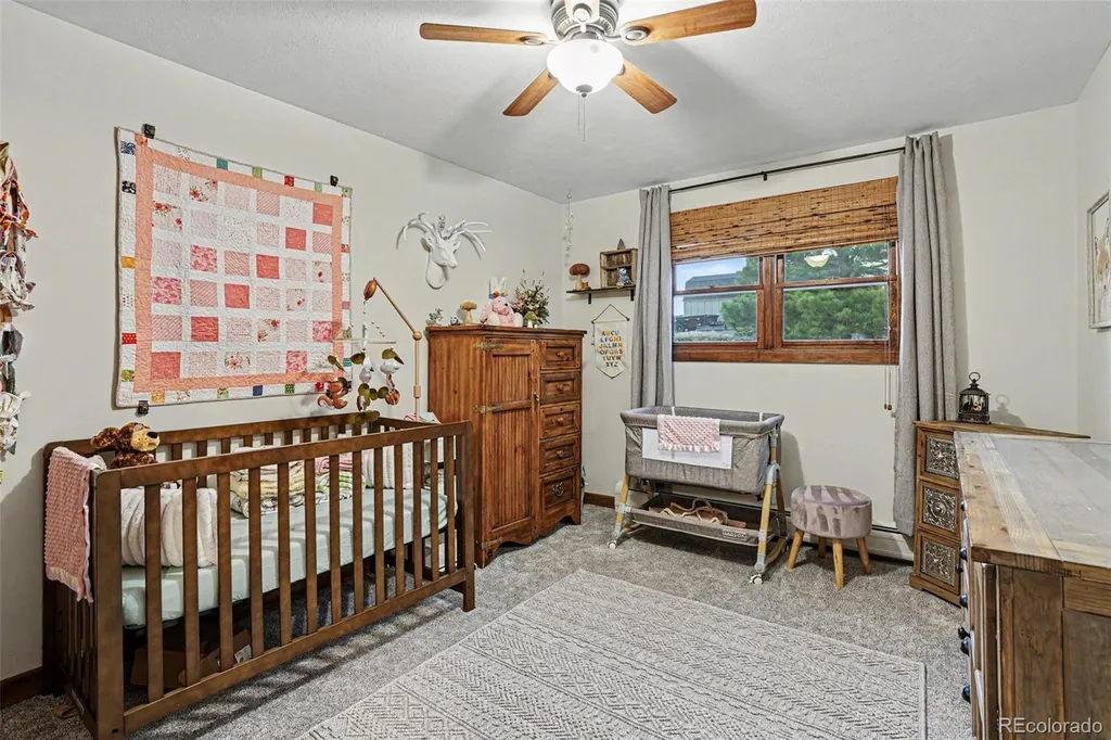 9338 Clydesdale Road Castle Rock CO 80108