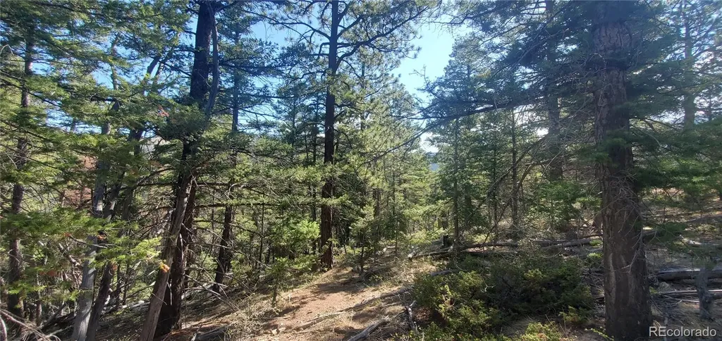 Lot 5273 Vivian Road Fort Garland CO 81133