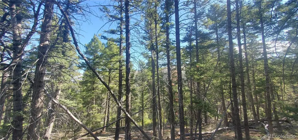 Lot 5273 Vivian Road Fort Garland CO 81133