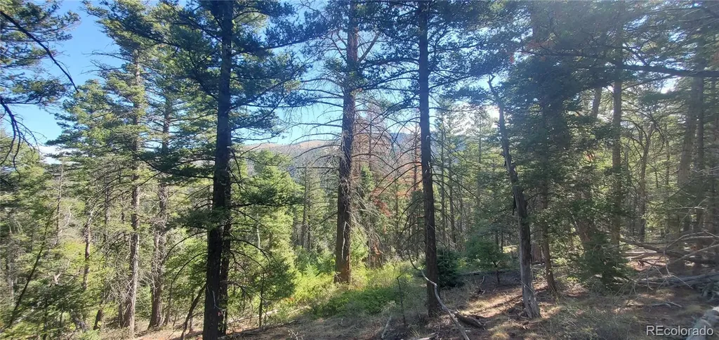 Lot 5273 Vivian Road Fort Garland CO 81133