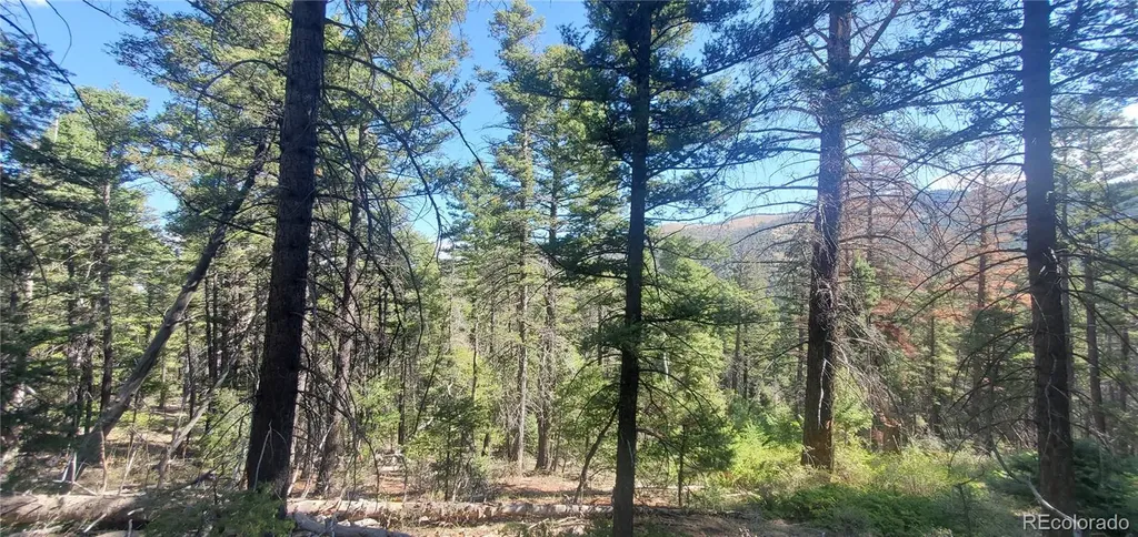 Lot 5273 Vivian Road Fort Garland CO 81133