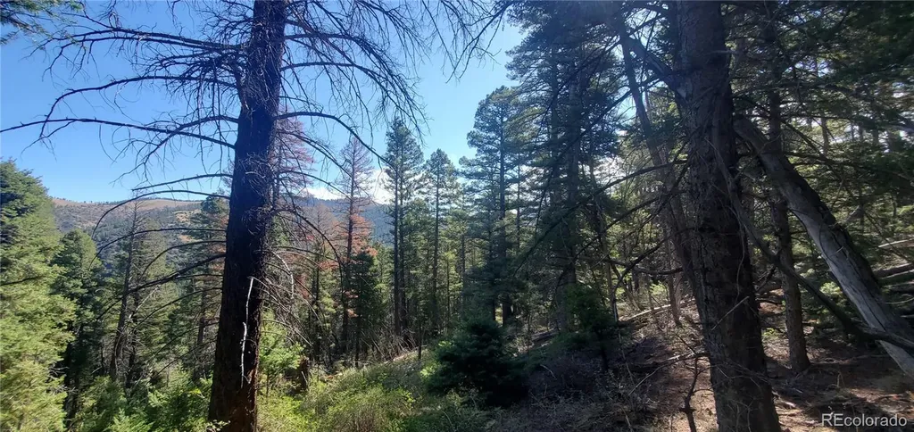 Lot 5273 Vivian Road Fort Garland CO 81133