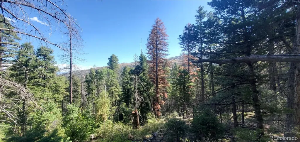Lot 5273 Vivian Road Fort Garland CO 81133