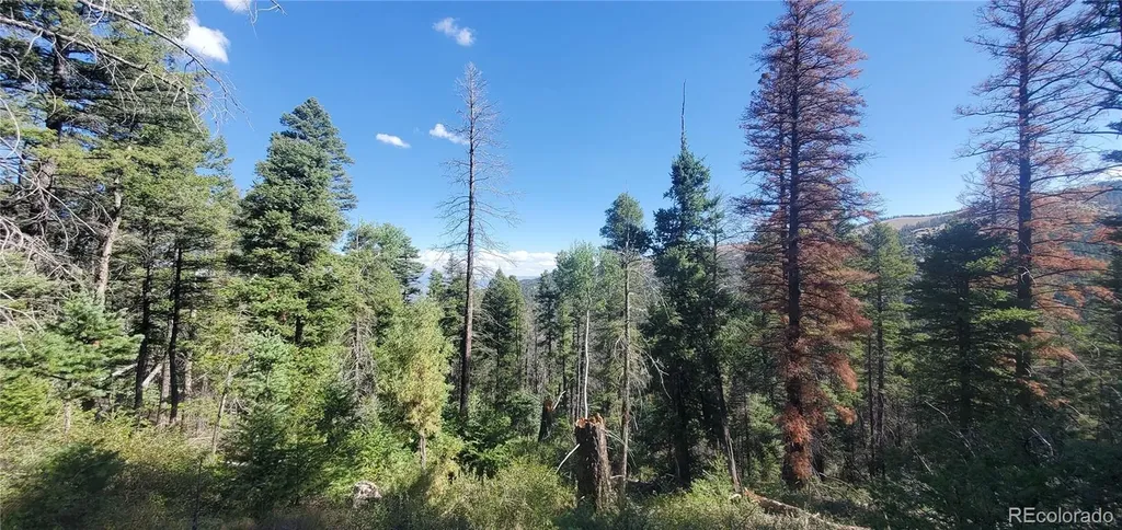 Lot 5273 Vivian Road Fort Garland CO 81133