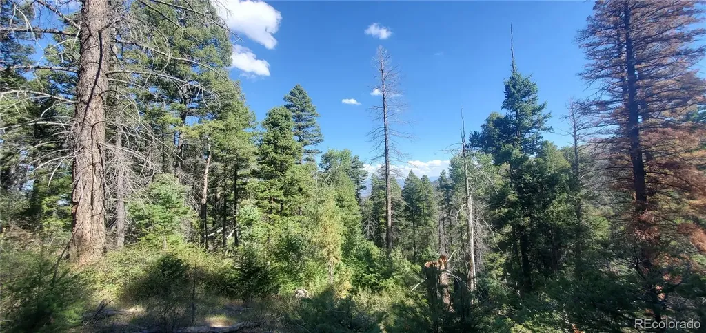 Lot 5273 Vivian Road Fort Garland CO 81133