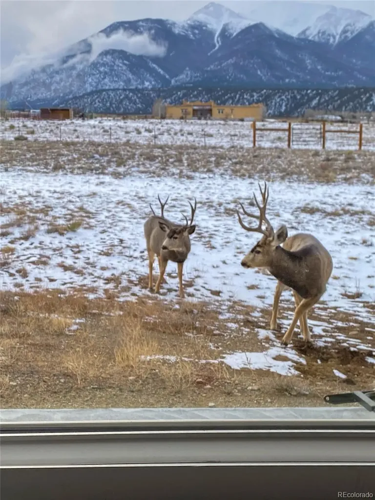 12910 County Road 162 Nathrop CO 81236