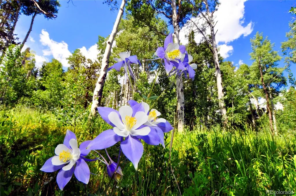 120 Bull Lake Court Silverthorne CO 80498