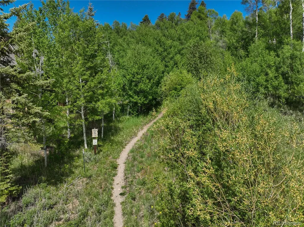 120 Bull Lake Court Silverthorne CO 80498