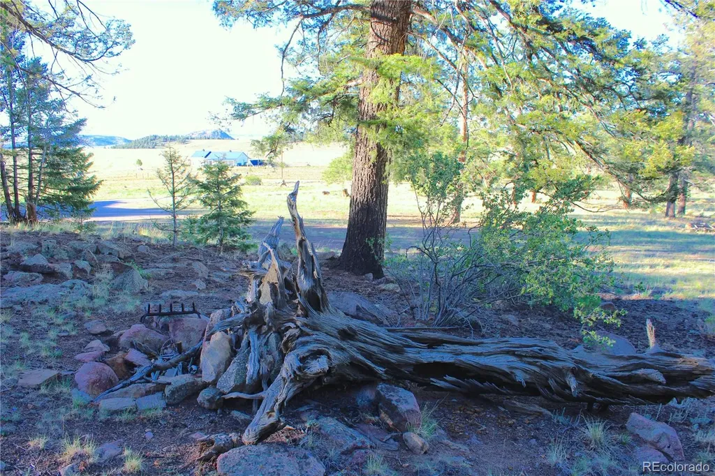 4180 Singletree Road Hartsel CO 80449
