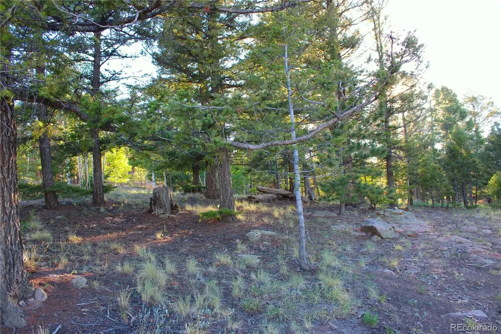 4180 Singletree Road Hartsel CO 80449