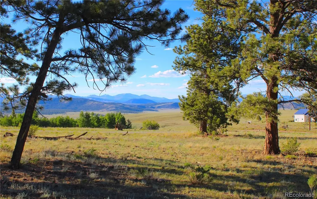 4180 Singletree Road Hartsel CO 80449
