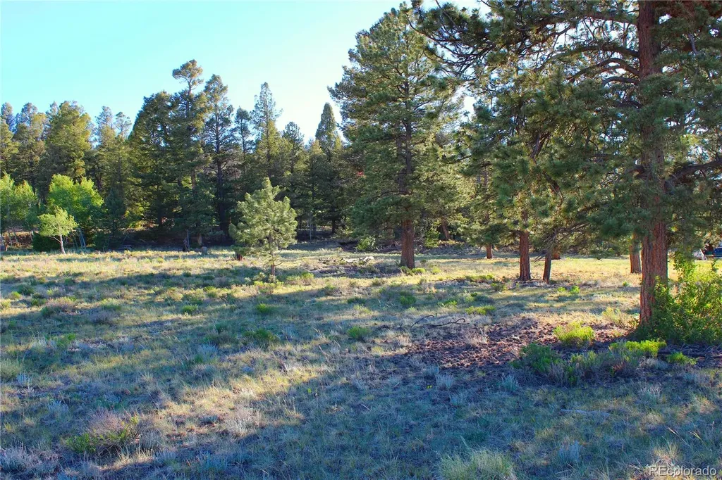 4180 Singletree Road Hartsel CO 80449