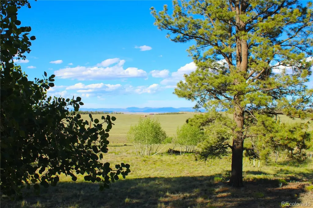 4180 Singletree Road Hartsel CO 80449