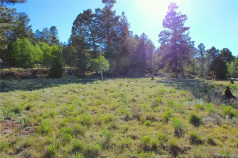 4180 Singletree Road Hartsel CO 80449