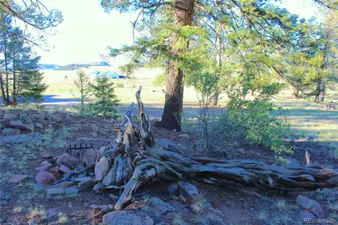 4180 Singletree Road Hartsel CO 80449
