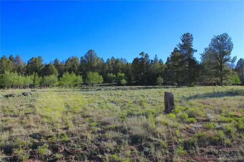 4180 Singletree Road Hartsel CO 80449