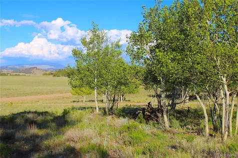 4180 Singletree Road Hartsel CO 80449