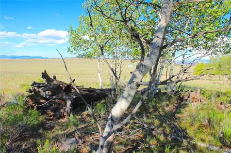4180 Singletree Road Hartsel CO 80449