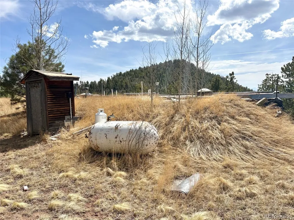 2121 Cr 1 Florissant CO 80816