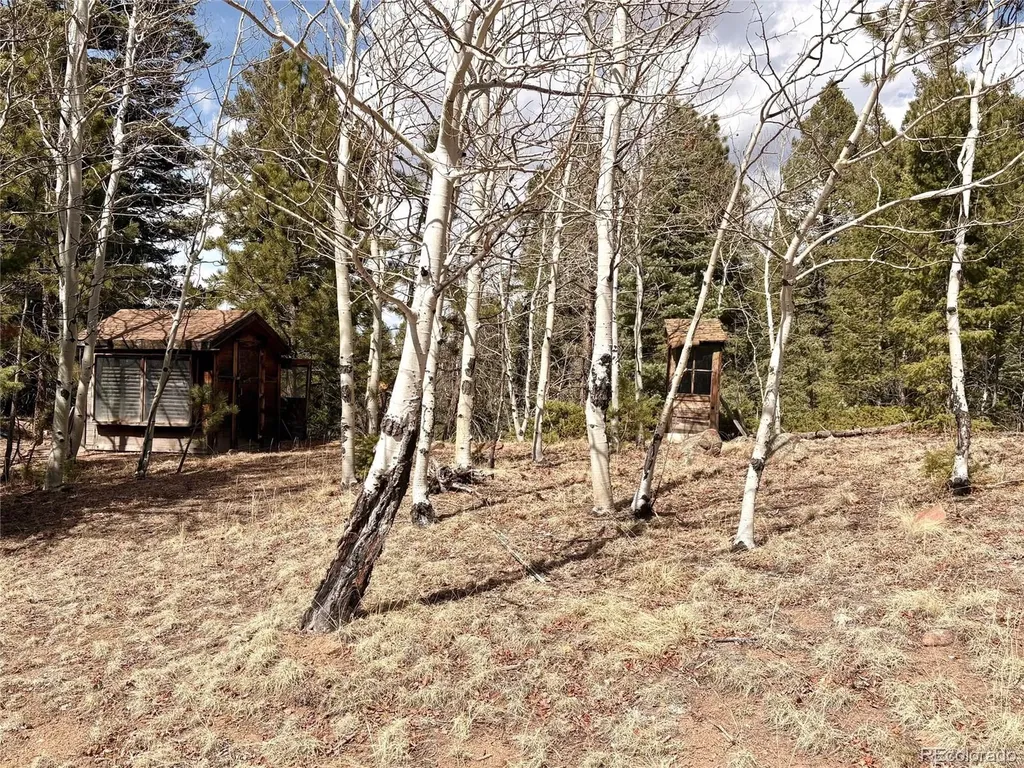 2121 Cr 1 Florissant CO 80816