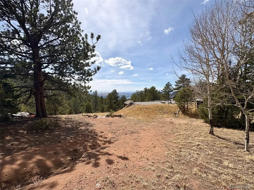2121 Cr 1 Florissant CO 80816