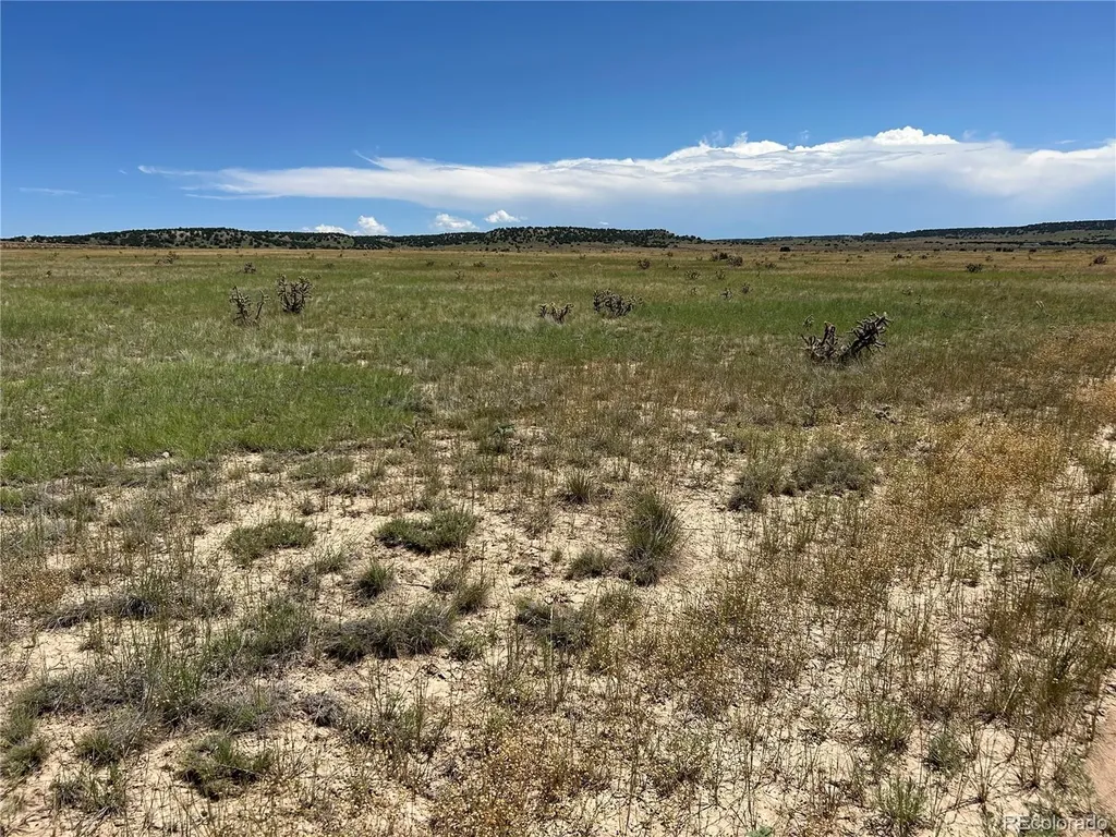 Lot 4 Outback Ranch Model CO 81059