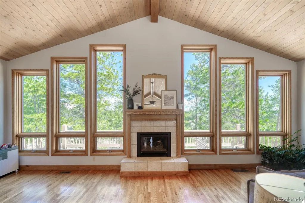 13353 County Road 261 J Nathrop CO 81236