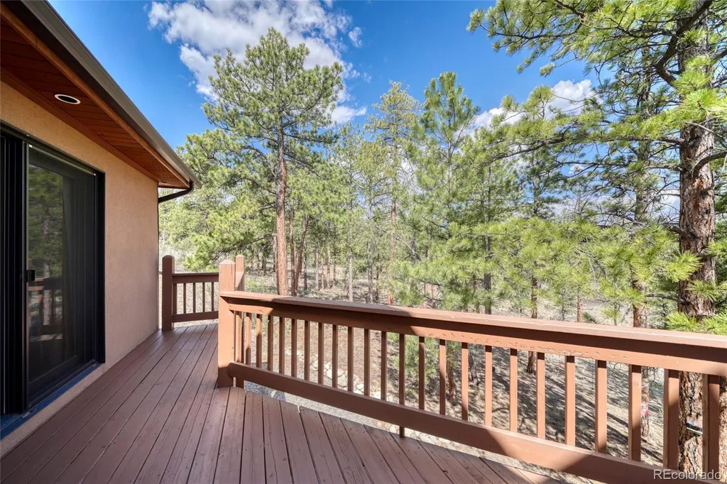 13353 County Road 261 J Nathrop CO 81236