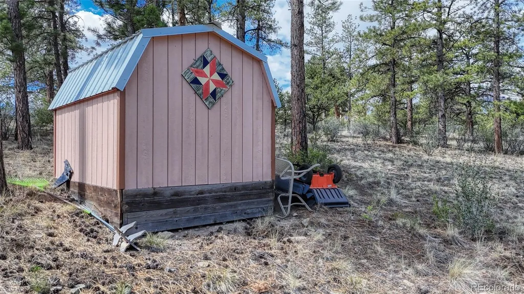 13353 County Road 261 J Nathrop CO 81236
