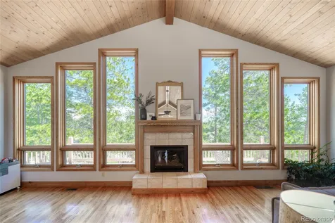 13353 County Road 261 J Nathrop CO 81236
