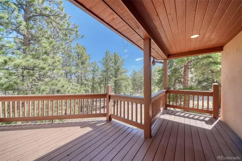 13353 County Road 261 J Nathrop CO 81236