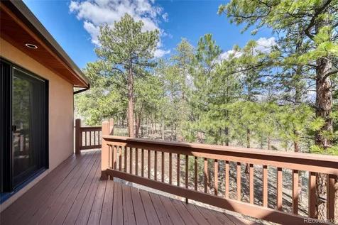 13353 County Road 261 J Nathrop CO 81236
