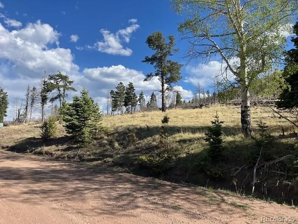 448 Wagon Mesa Loop Fort Garland CO 81133