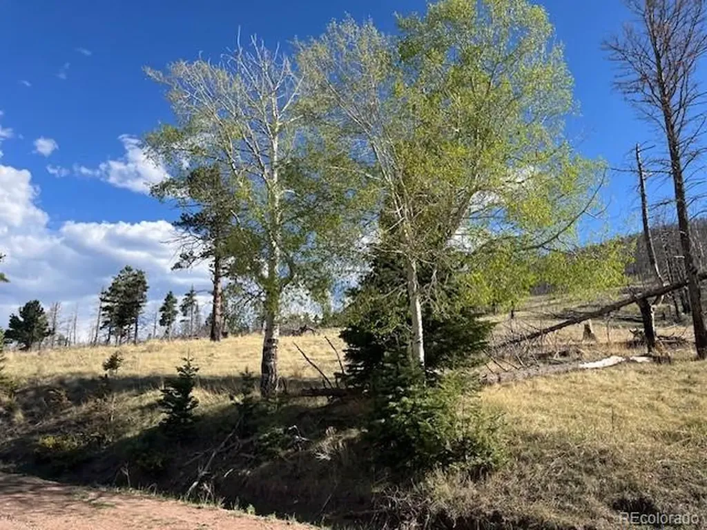 448 Wagon Mesa Loop Fort Garland CO 81133