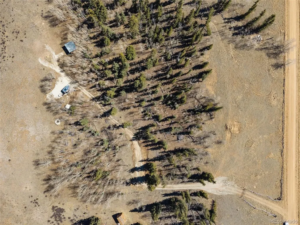 683 Latigo Loop Hartsel CO 80820