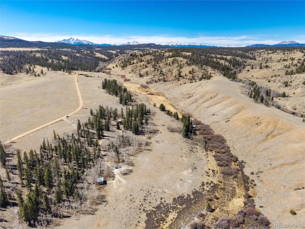 683 Latigo Loop Hartsel CO 80820