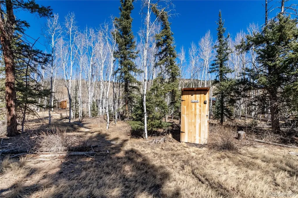 683 Latigo Loop Hartsel CO 80820