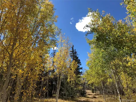 683 Latigo Loop Hartsel CO 80820