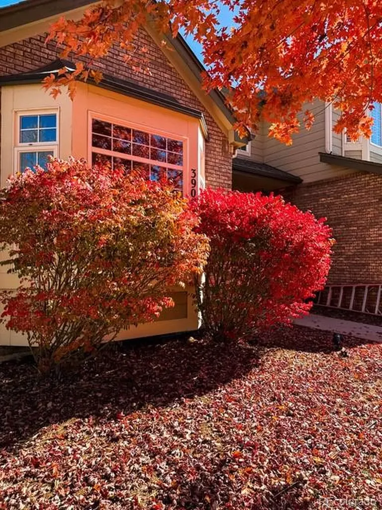 3902 Grand Canyon Street Fort Collins CO 80525