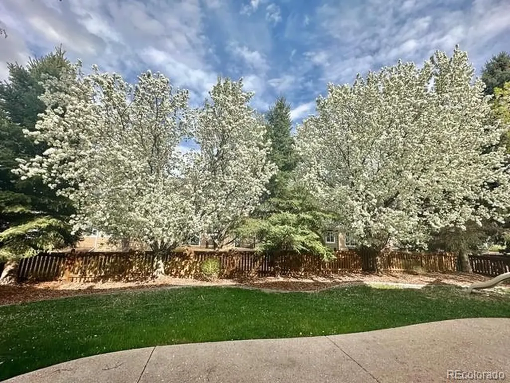 3902 Grand Canyon Street Fort Collins CO 80525