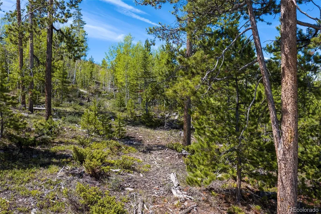 330 Cirrus Way Granby CO 80446