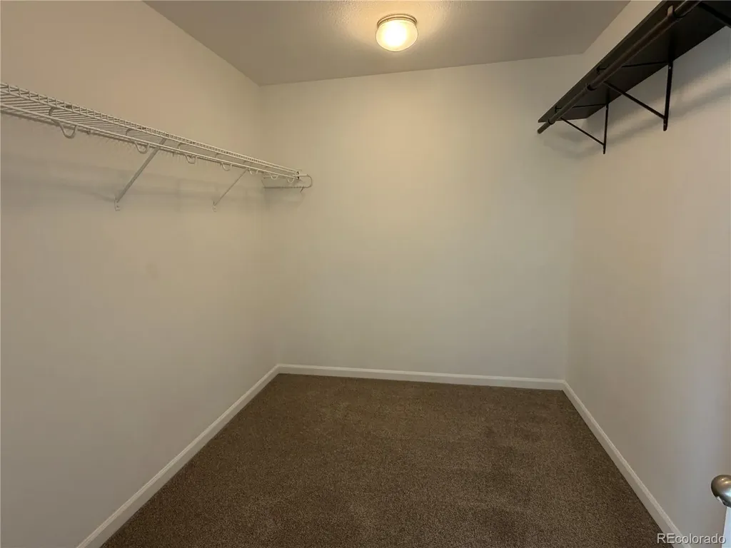 3015 Walnut Grove Street Erie CO 80516