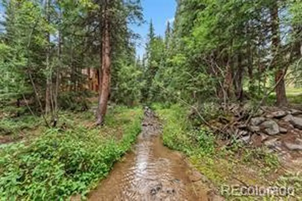 507 County Road 674 Blue River CO 80424