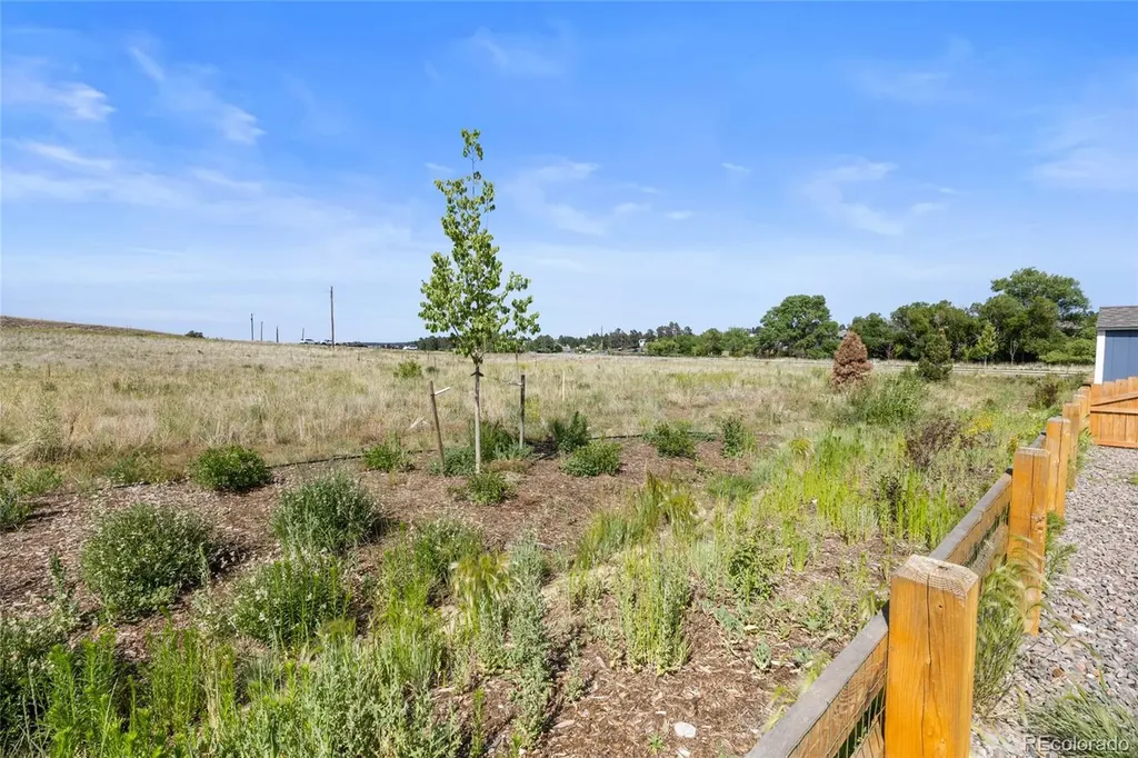 223 Corkscrew Street Elizabeth CO 80107