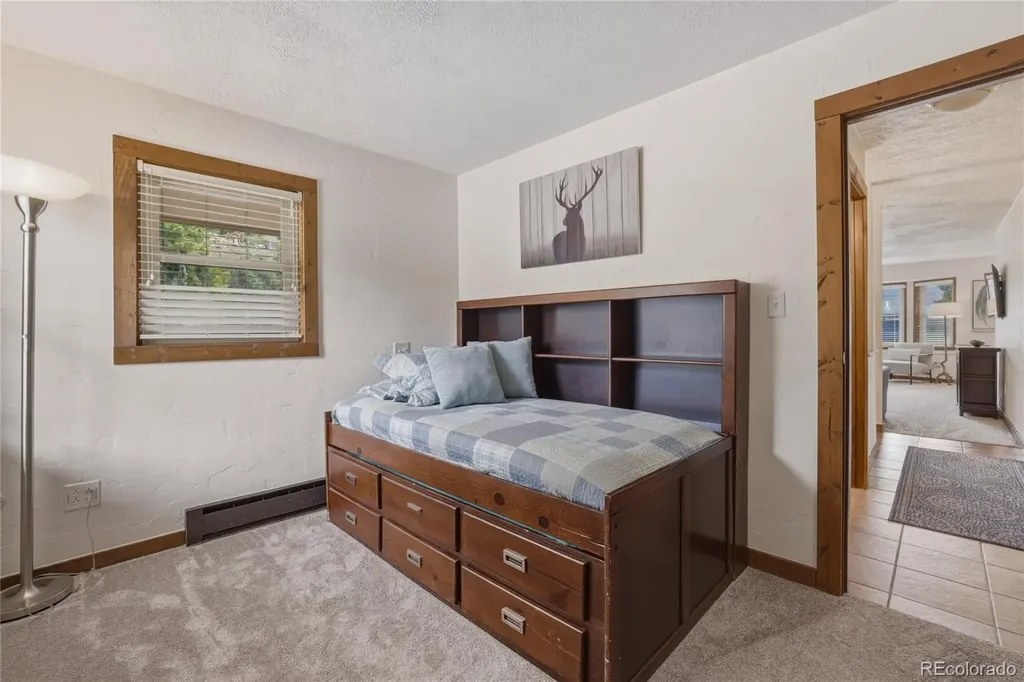 468 Piney Acres Circle Dillon CO 80435