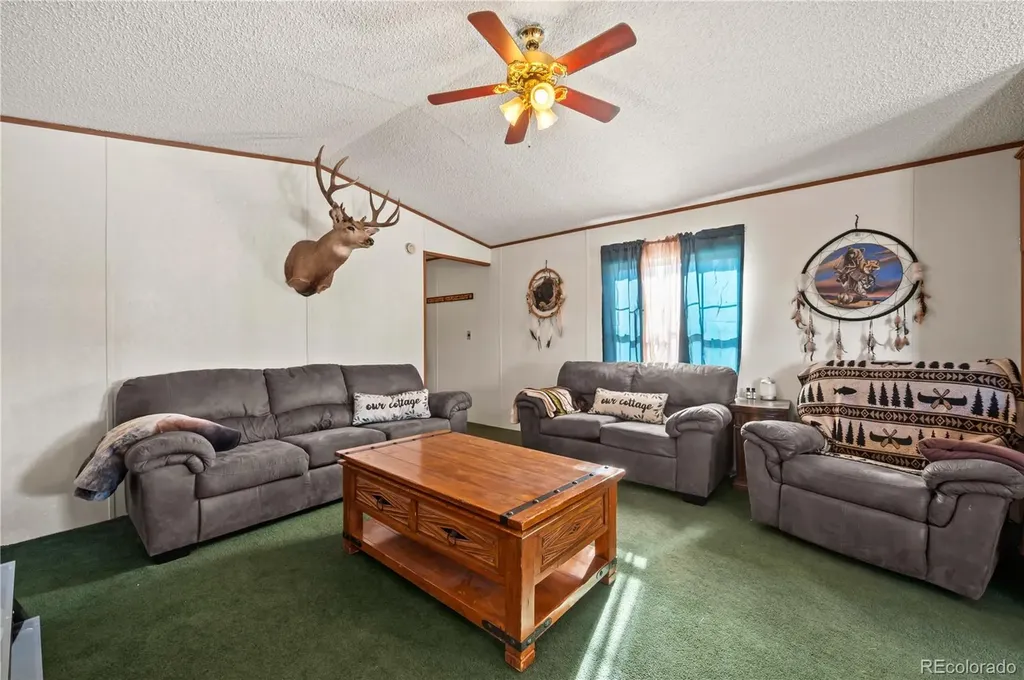 1838 17th Trail Cotopaxi CO 81223
